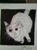 圆珠笔手绘第五发 猫